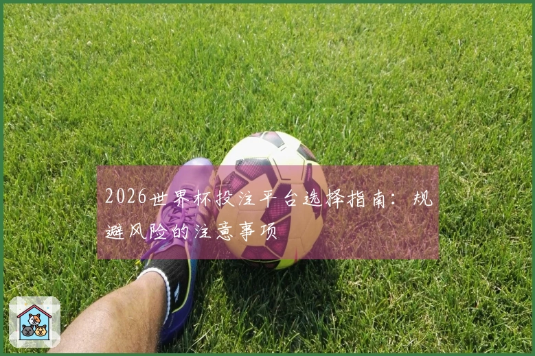 2026世界杯投注平台选择指南：规避风险的注意事项