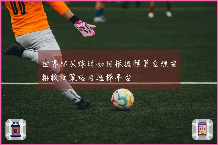世界杯买球时如何根据预算合理安排投注策略与选择平台