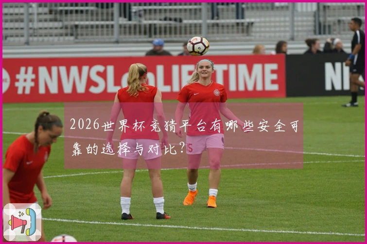 2026世界杯竞猜平台有哪些安全可靠的选择与对比？