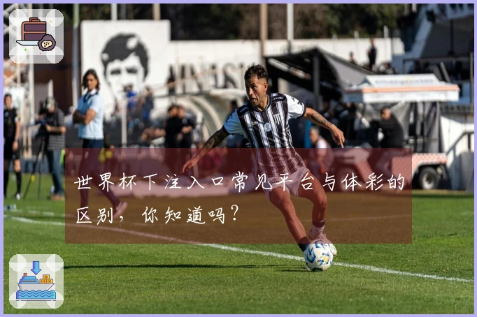 世界杯下注入口常见平台与体彩的区别，你知道吗？