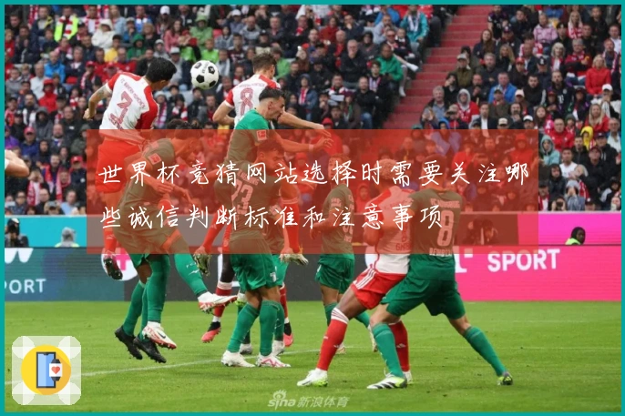 世界杯竞猜网站选择时需要关注哪些诚信判断标准和注意事项