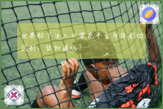 世界杯下注入口常见平台与体彩的区别，你知道吗？