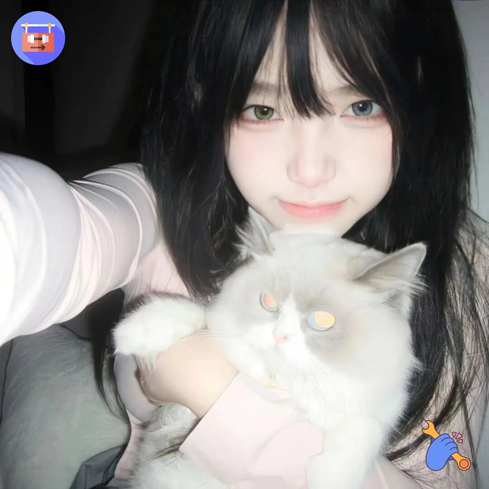 苏先生